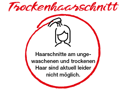 Hygienevorschriften 6 (Trockenhaarschnitt)